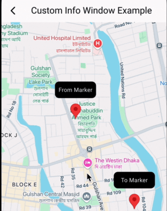 google_map_custom_windows