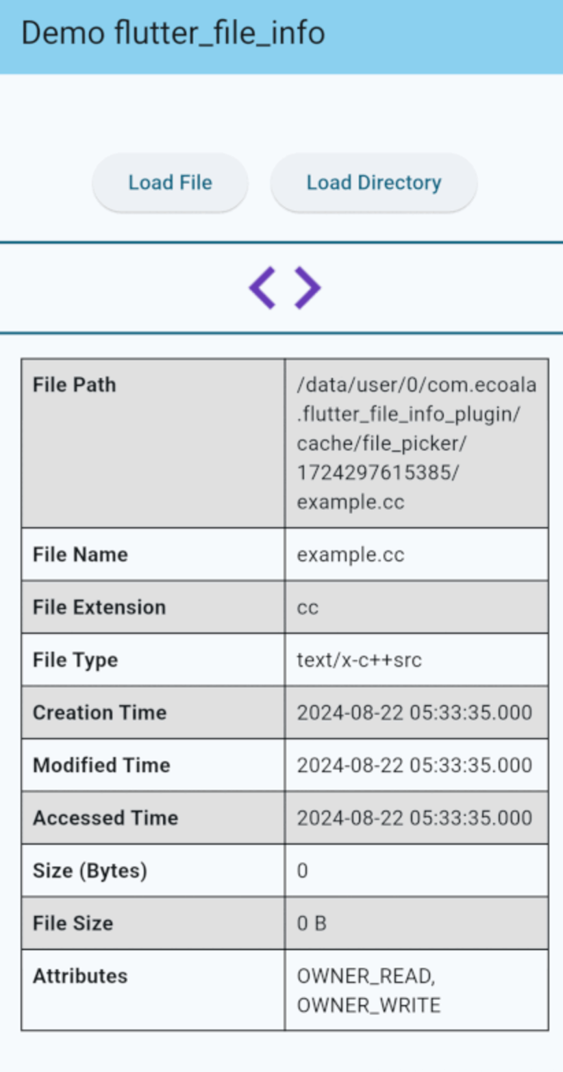 flutter_file_info